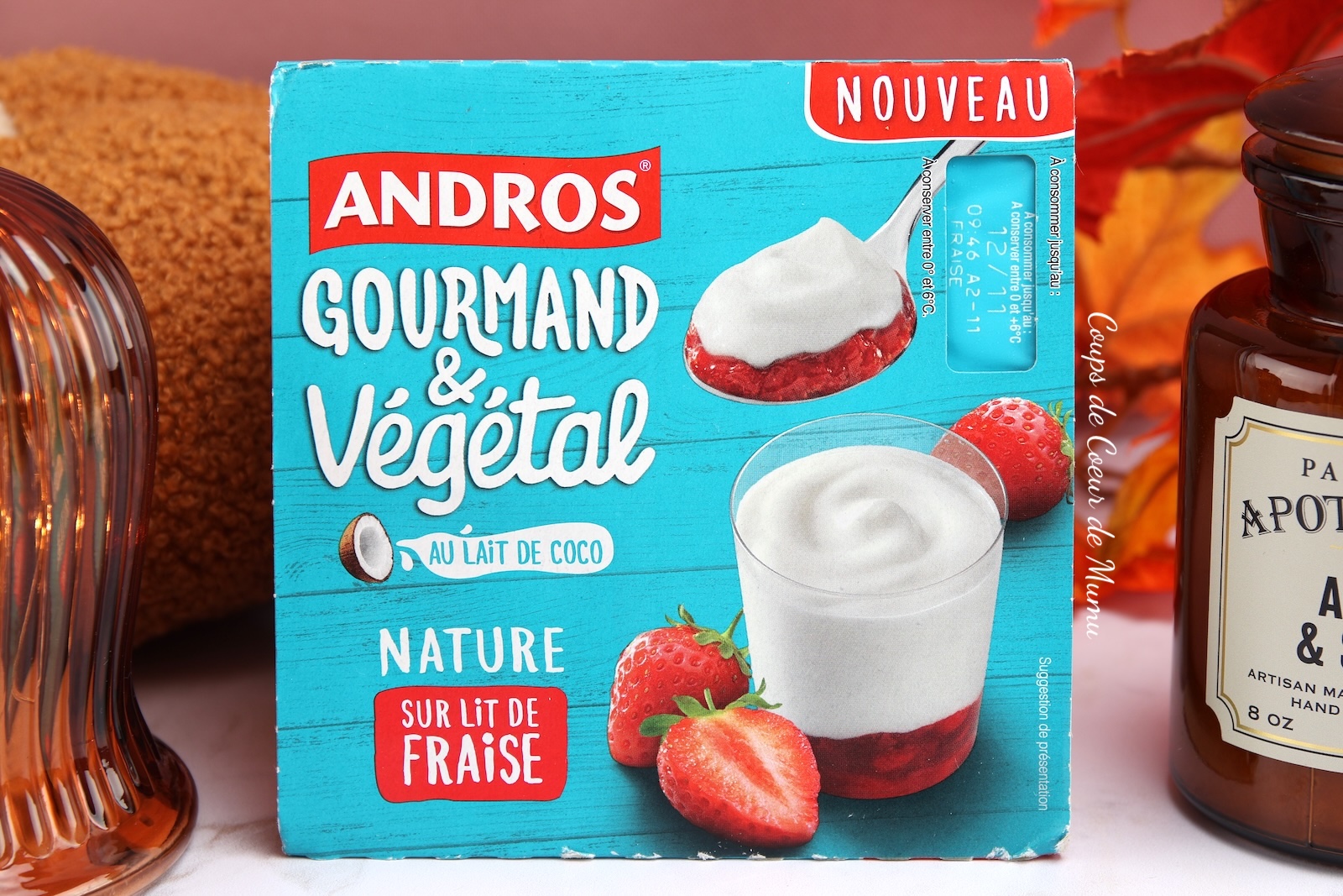 Brassé Nature au lait de Coco sur lit de Fraises – Andros Gourmand & Végétal