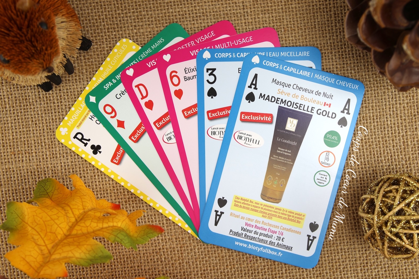 Biotyfull Box Rituel au Coeur des Rocheuses Canadiennes de Novembre 2025