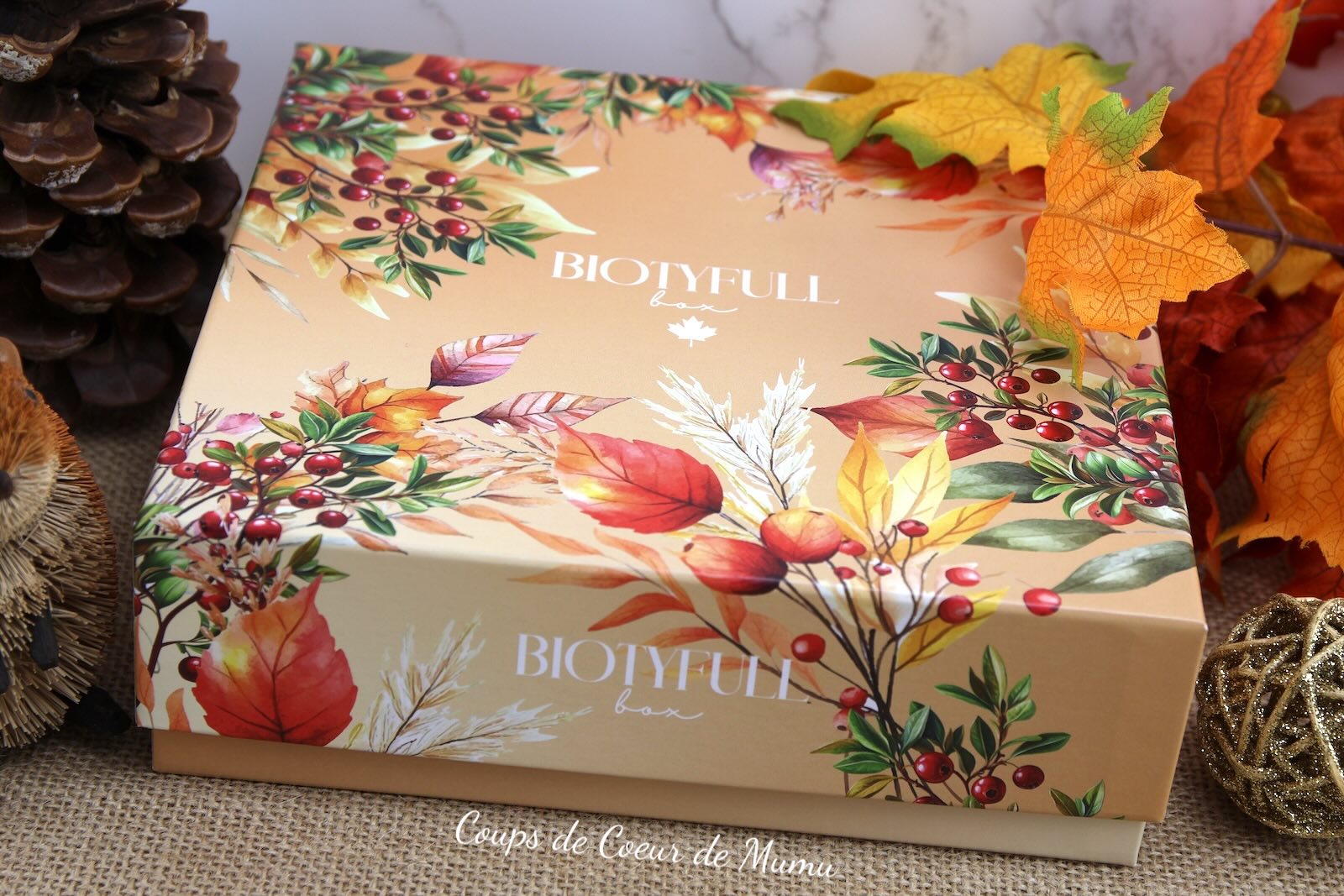 Biotyfull Box Rituel au Coeur des Rocheuses Canadiennes de Novembre 2025