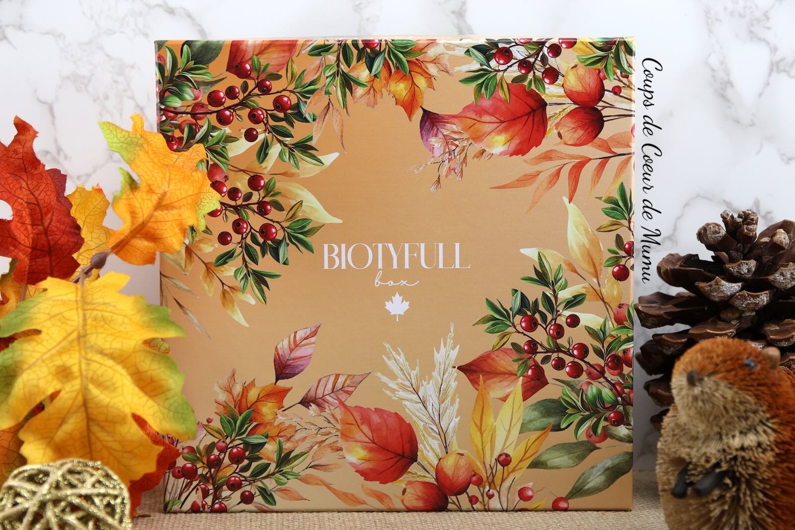 Biotyfull Box Rituel au Coeur des Rocheuses Canadiennes de Novembre 2025