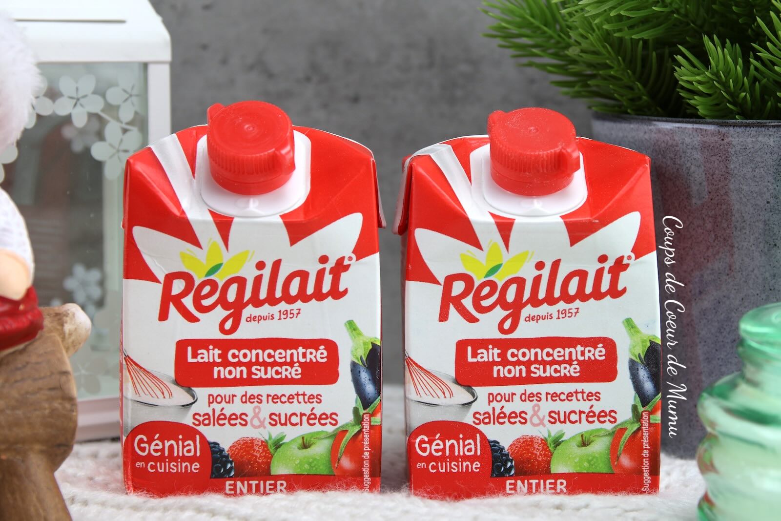 Lait Concentré Non Sucré – Régilait