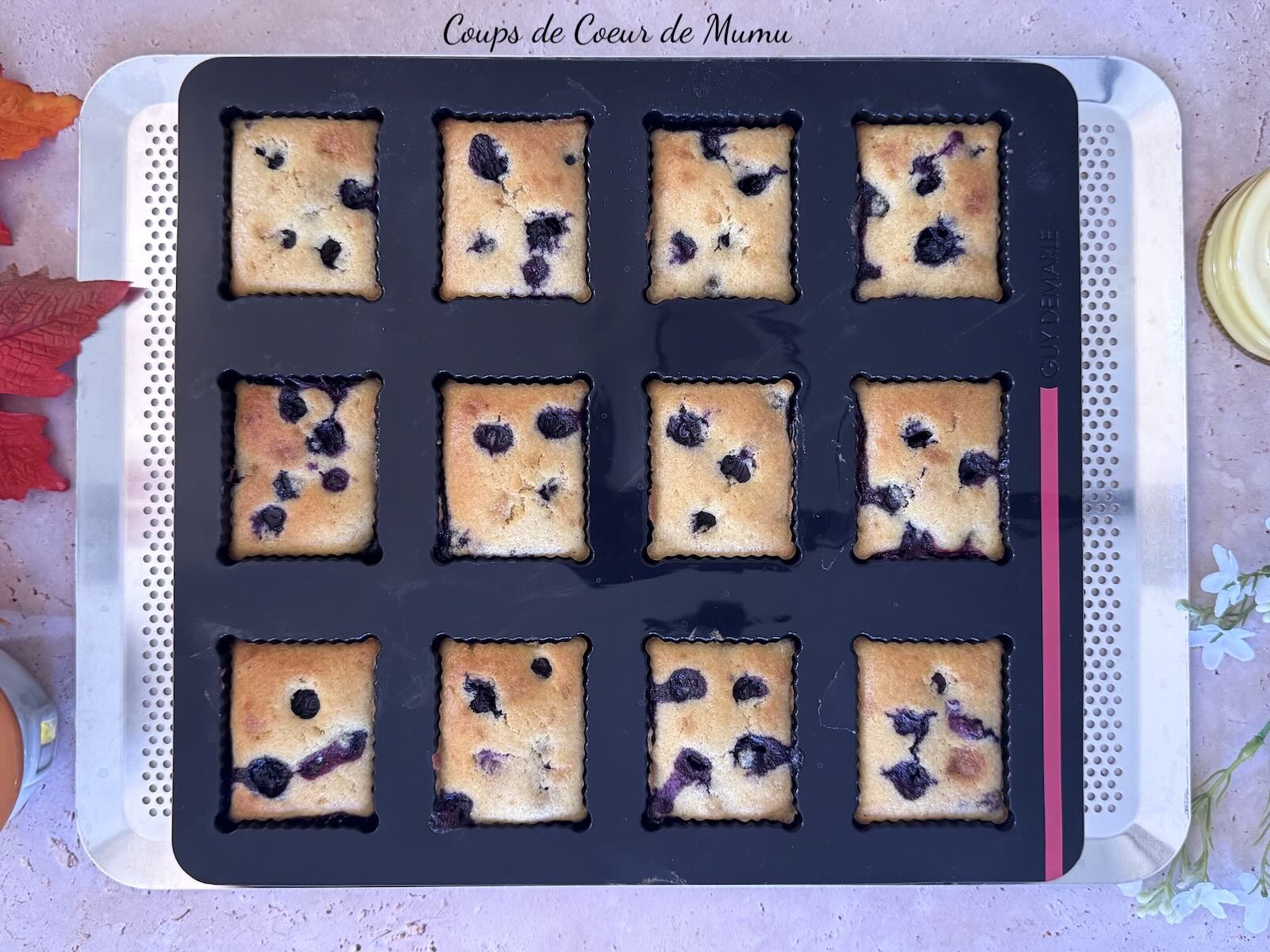 Recette Conseillère Guy Demarle Auvergne Puy-de-Dôme Clermont-Ferrand