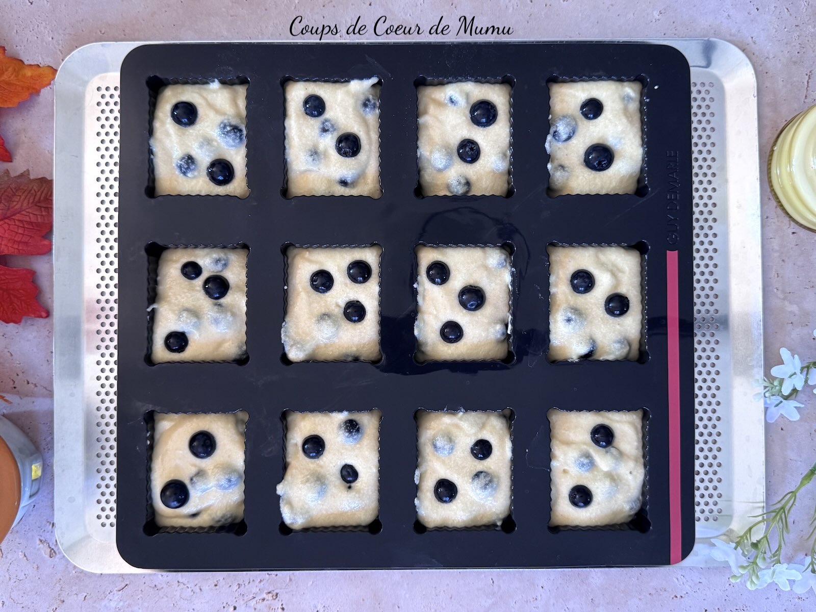 Recette Conseillère Guy Demarle