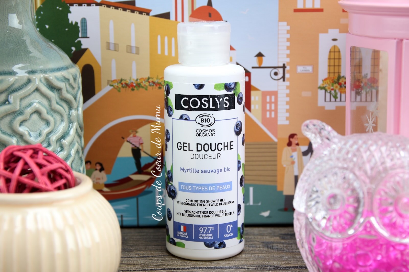 Gel Douche Douceur Myrtille Sauvage Bio – COSLYS