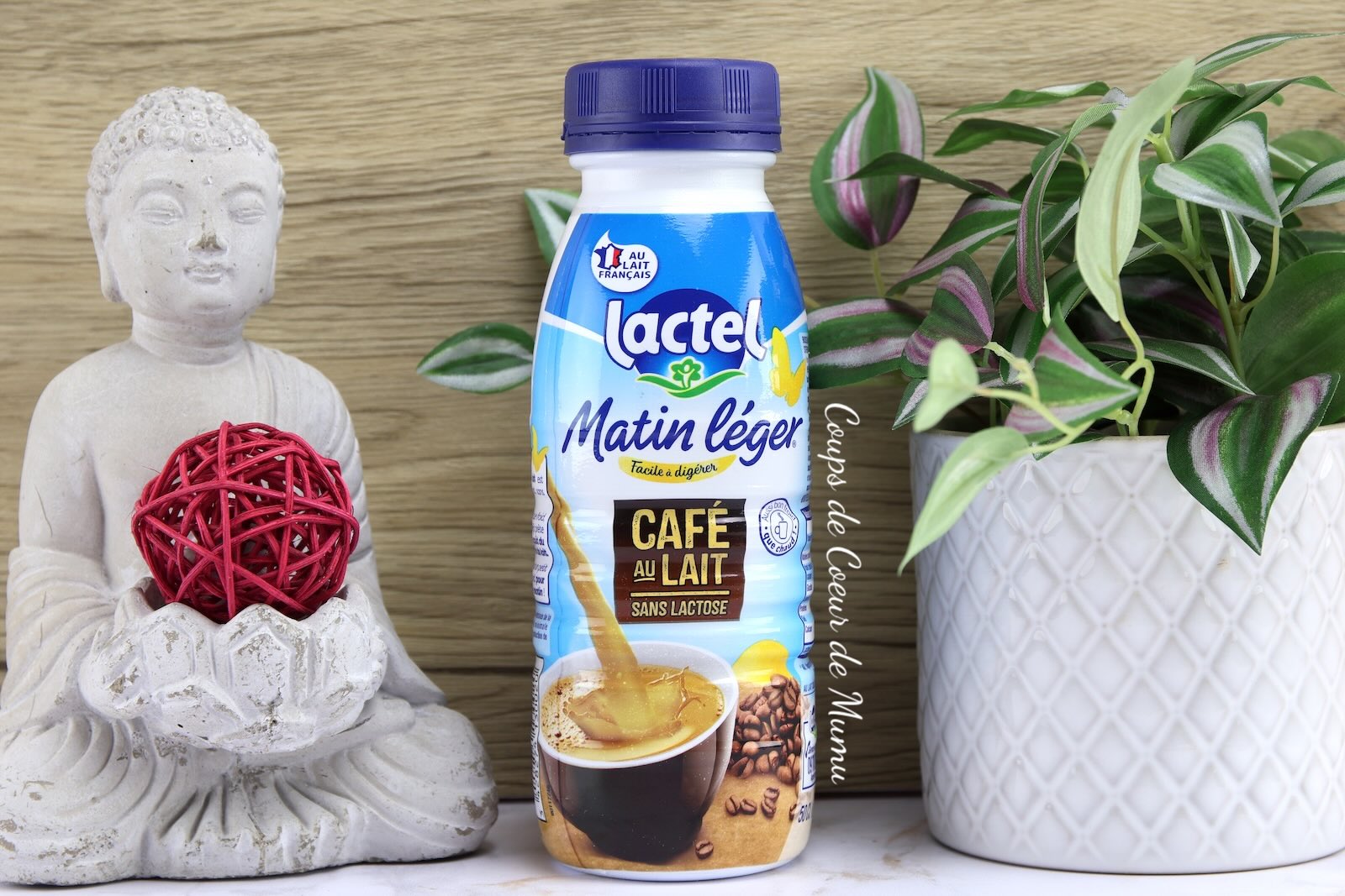 Matin Léger Lait UHT Café au Lait de Lactel 50 cl