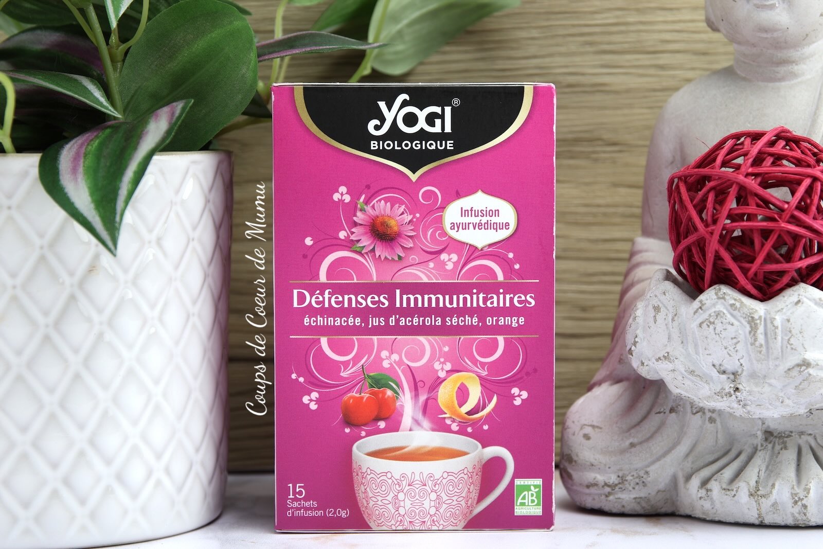 YOGI Tea Défenses Immunitaires