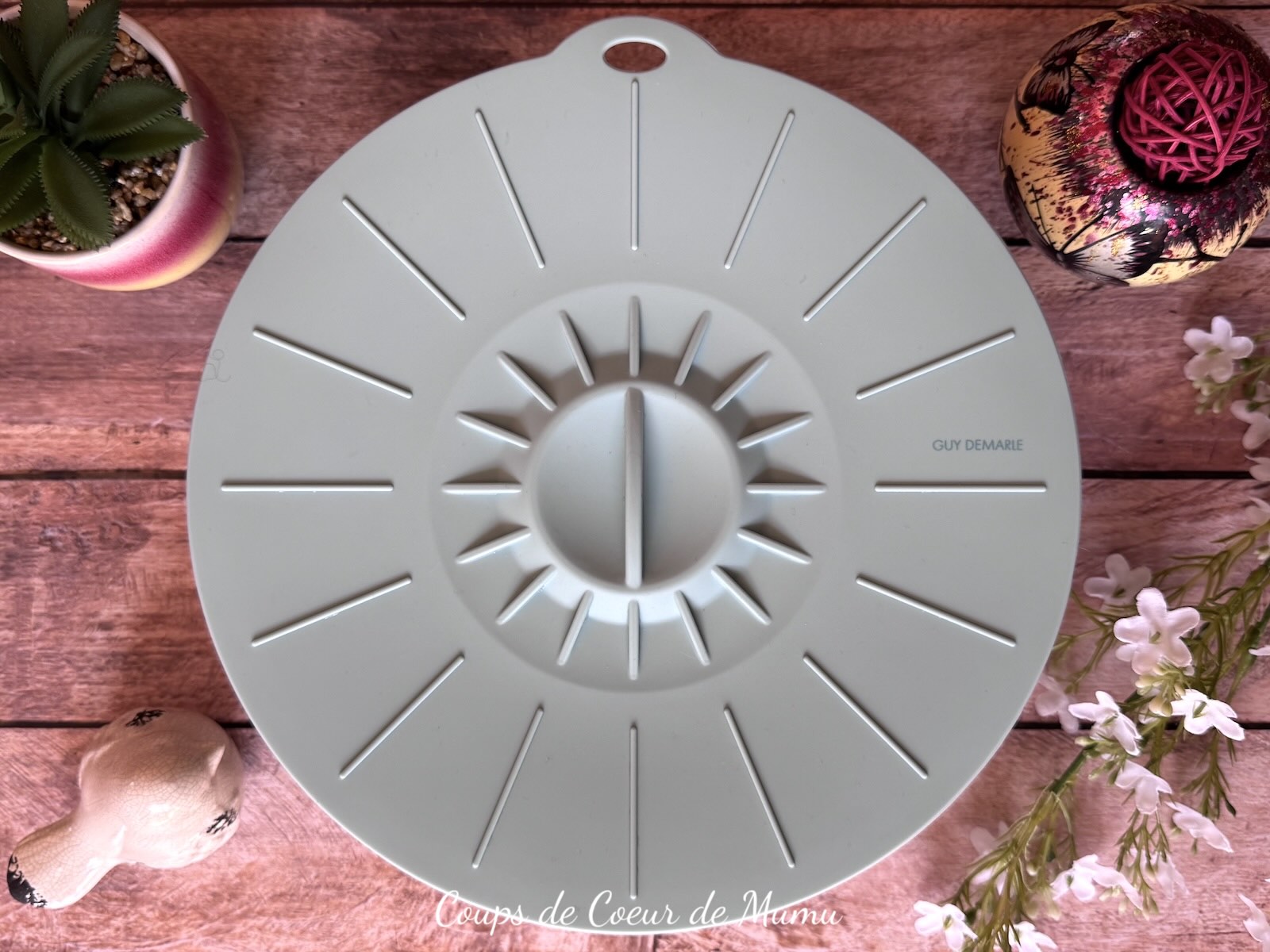 Couvercle en Silicone Guy Demarle