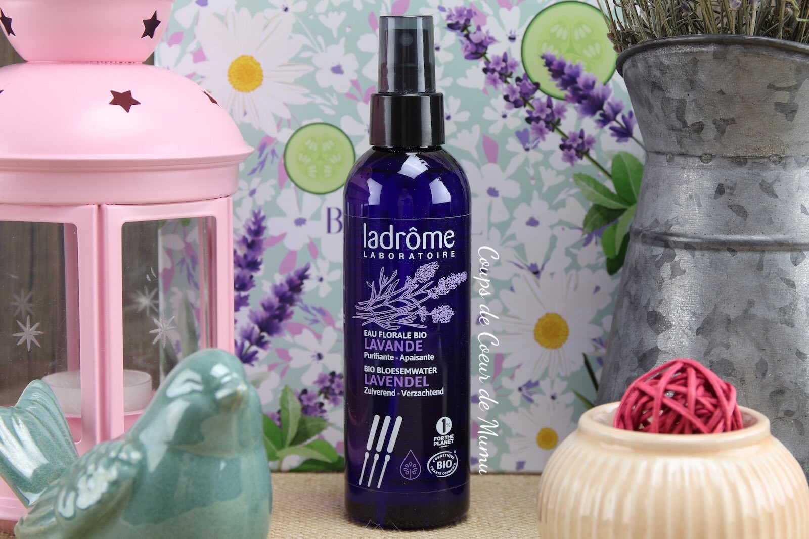 Eau Florale 3-en-1 Apaisante, Purifiante et Tonifiante – LADRÔME LABORATOIRE