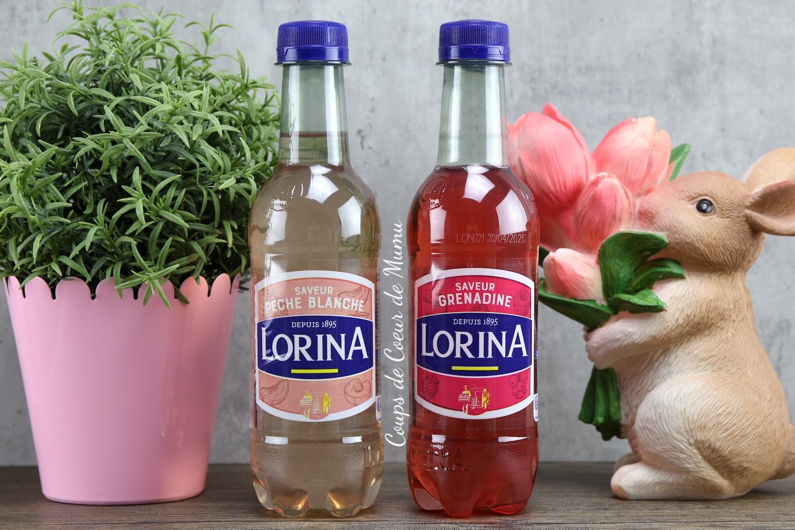 Boissons artisanales Lorina