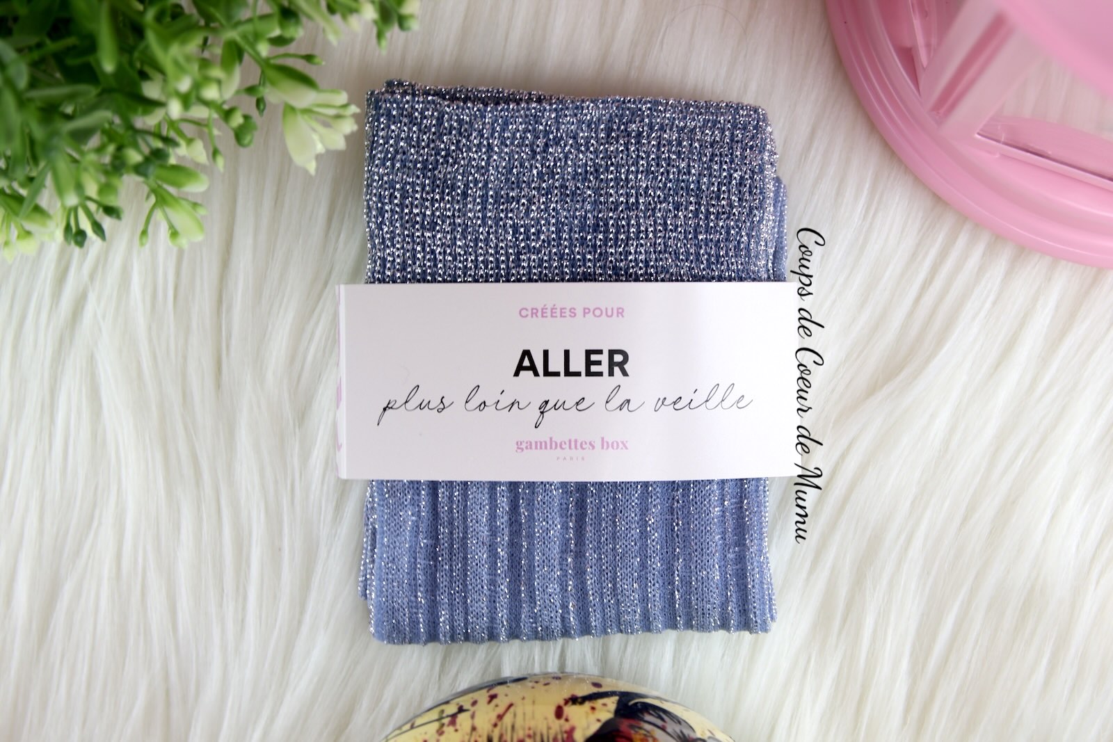 Chaussettes Bleues Printemps Gambettes Box