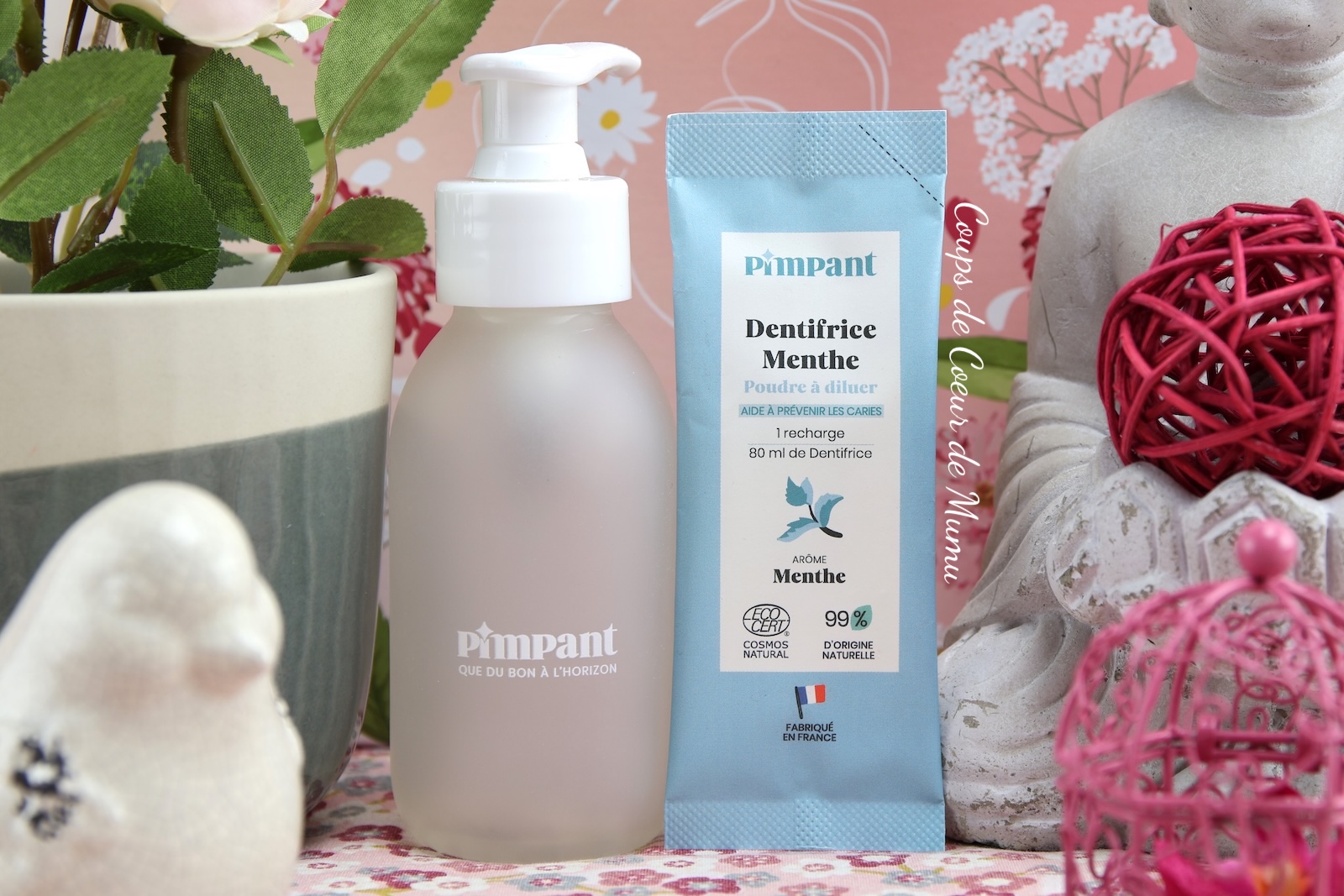 Kit Dentifrice Menthe Innovant 100% DIY – PIMPANT