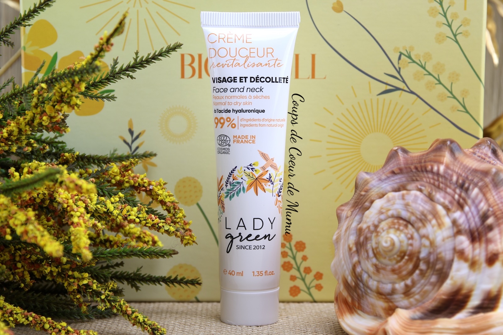 Crème de Nuit Lady Green