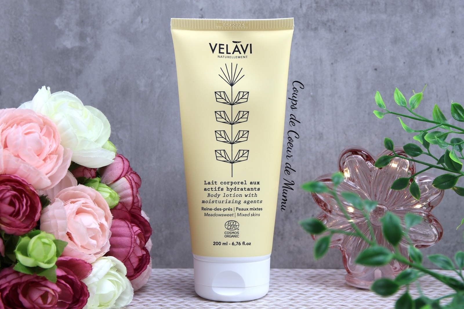 Lait pour le Corps Velavi