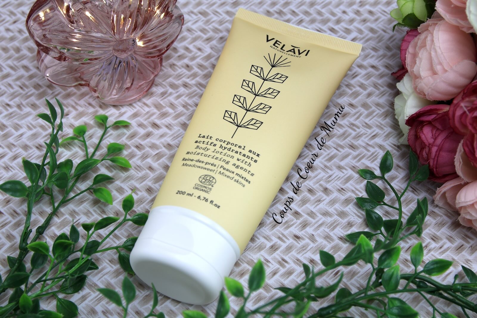 Lait pour le Corps Velavi
