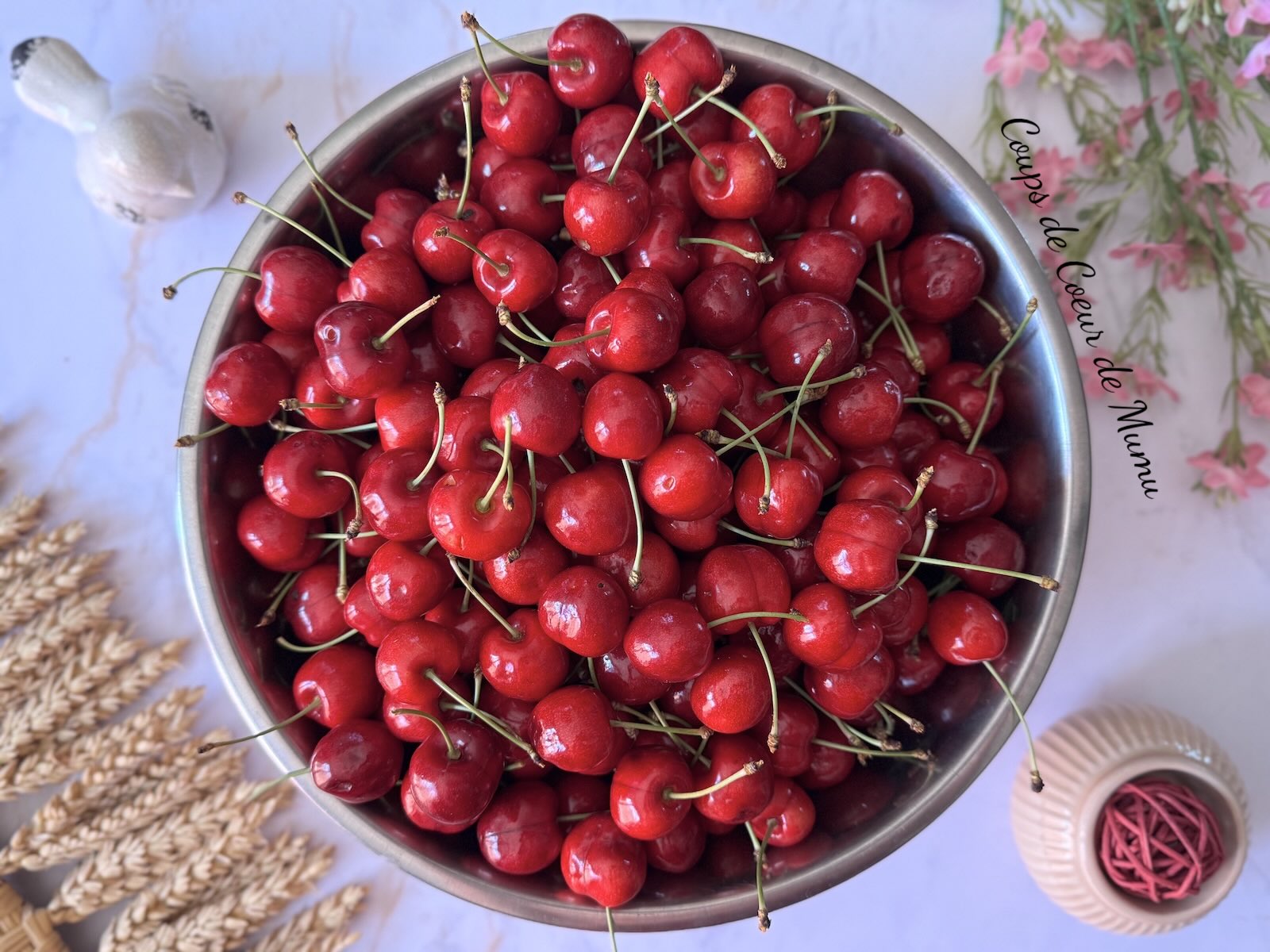 Recette Cerises Conseillère Guy Demarle