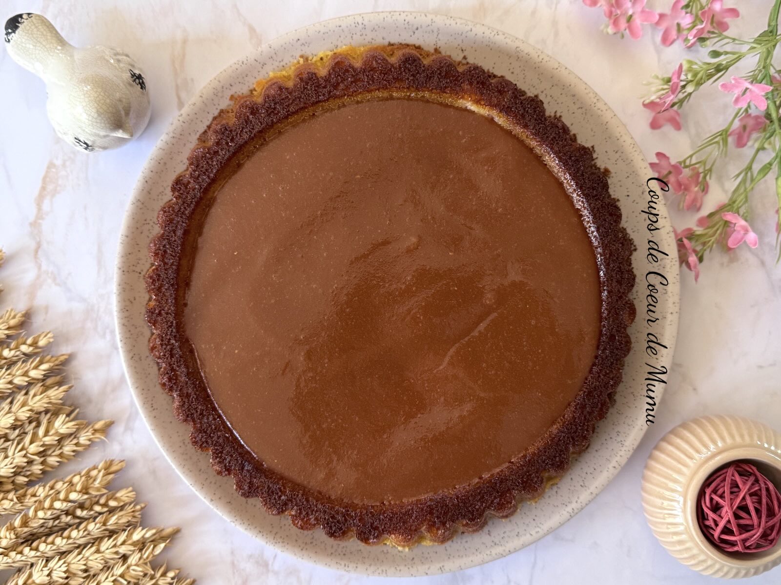 Gâteau Moelleux aux Cerises et au Chocolat