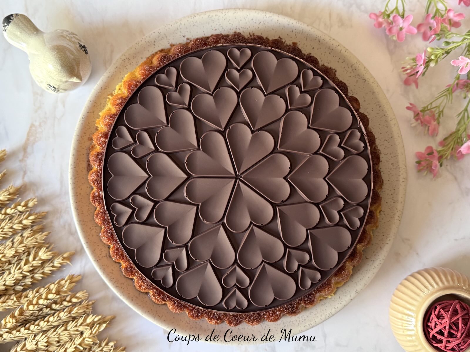 Gâteau Moelleux aux Cerises et au Chocolat