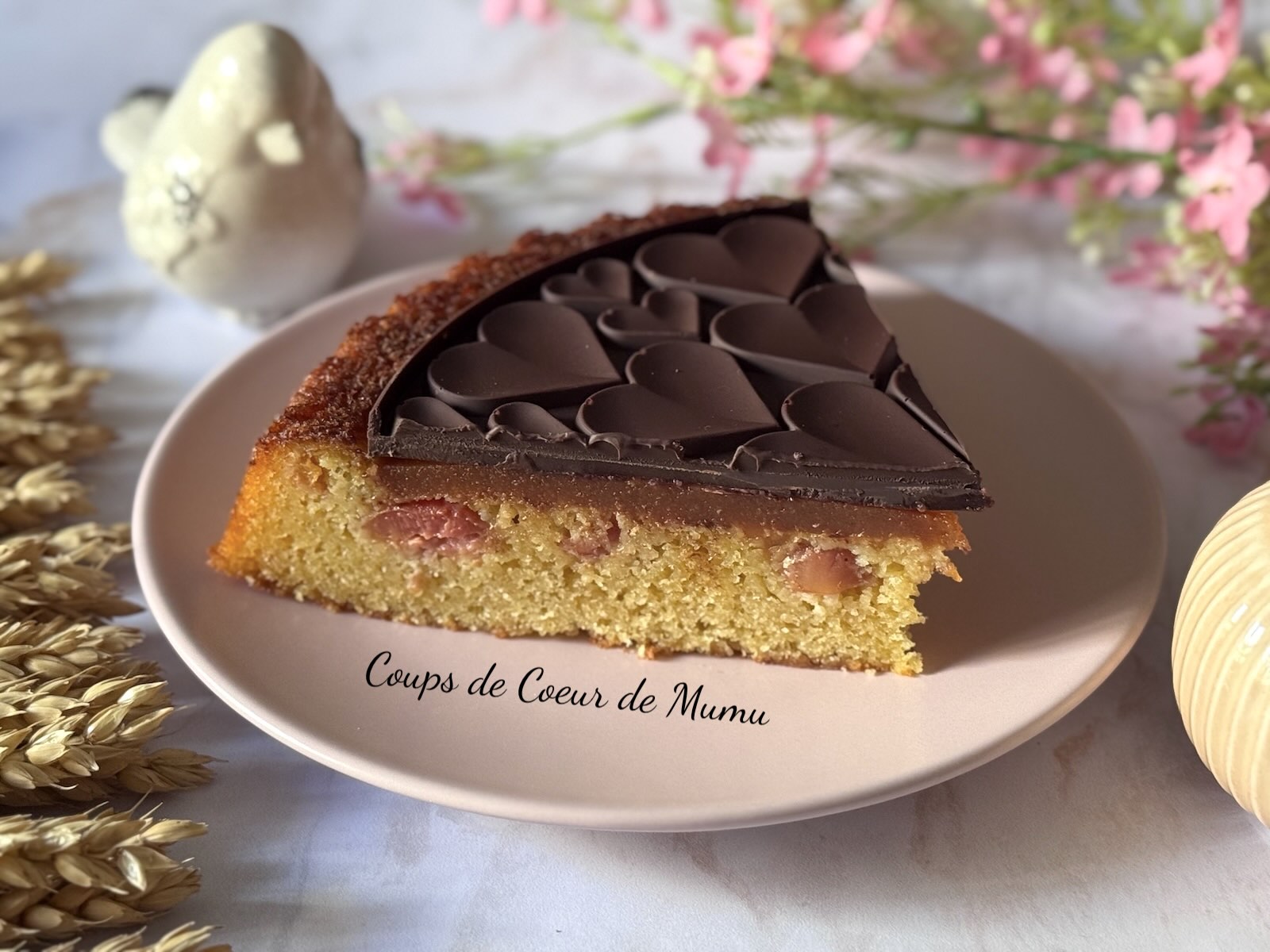 Gâteau Moelleux aux Cerises et au Chocolat
