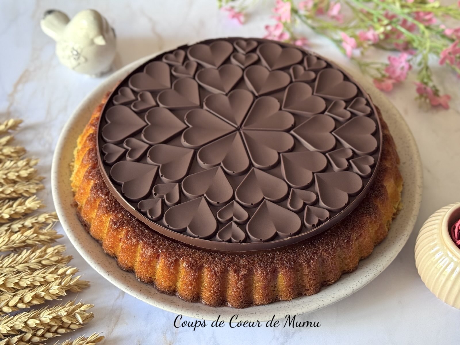 Gâteau Moelleux aux Cerises et au Chocolat