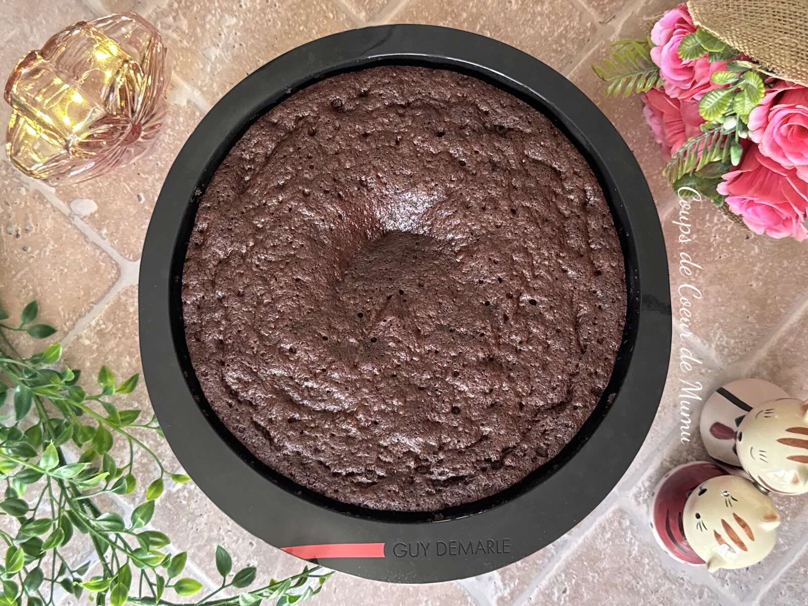 Moelleux au Chocolat Express au Micro-ondes Conseillère Guy Demarle