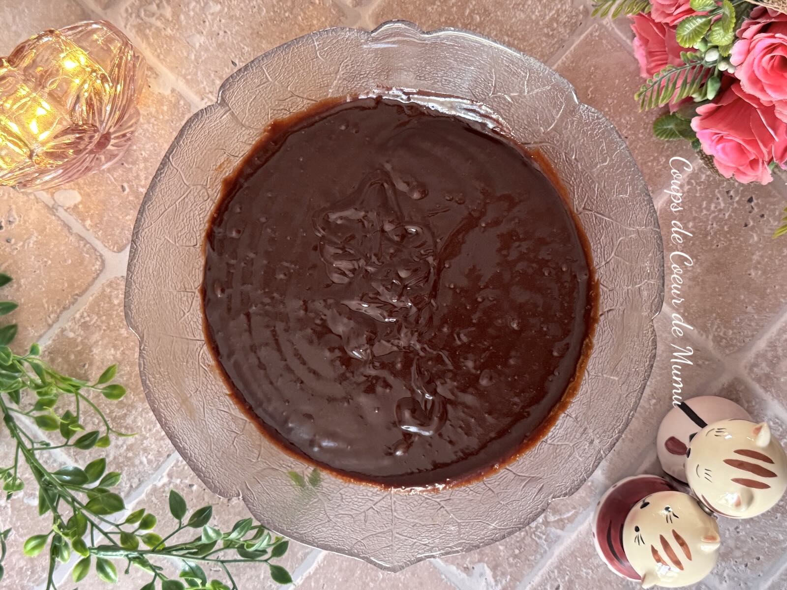 Moelleux au Chocolat Express au Micro-ondes Conseillère Guy Demarle