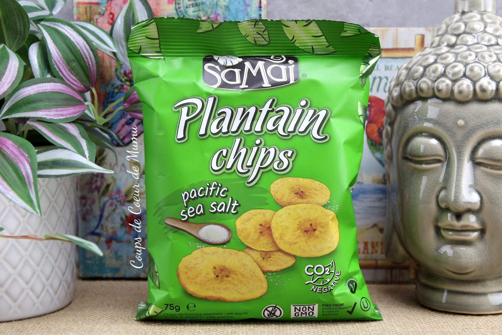 Chips Plaintain Salées Samai