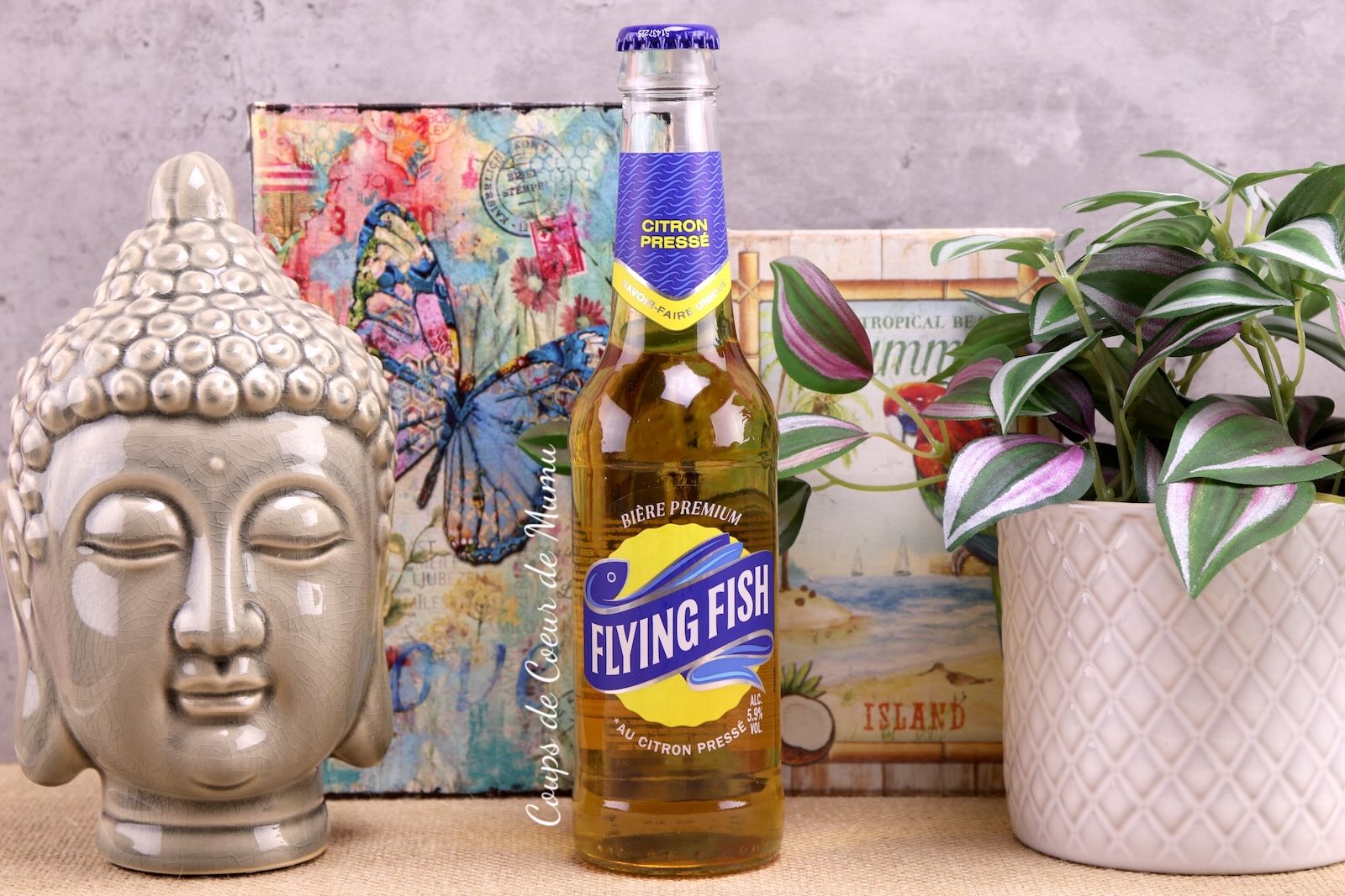 Bière Flying Fish Citron Pressé