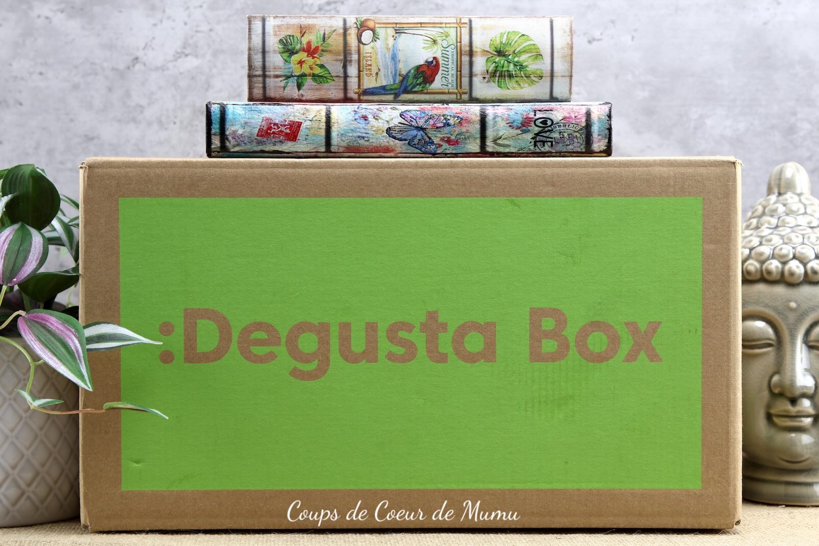 Degusta Box Back to School d’Août 2026