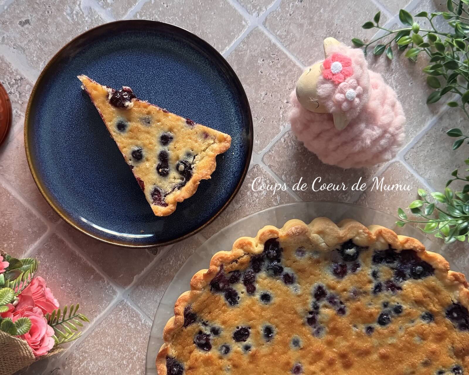 Tarte aux Myrtilles dans le Moule Tarte Cannelée OHRA Guy Demarle