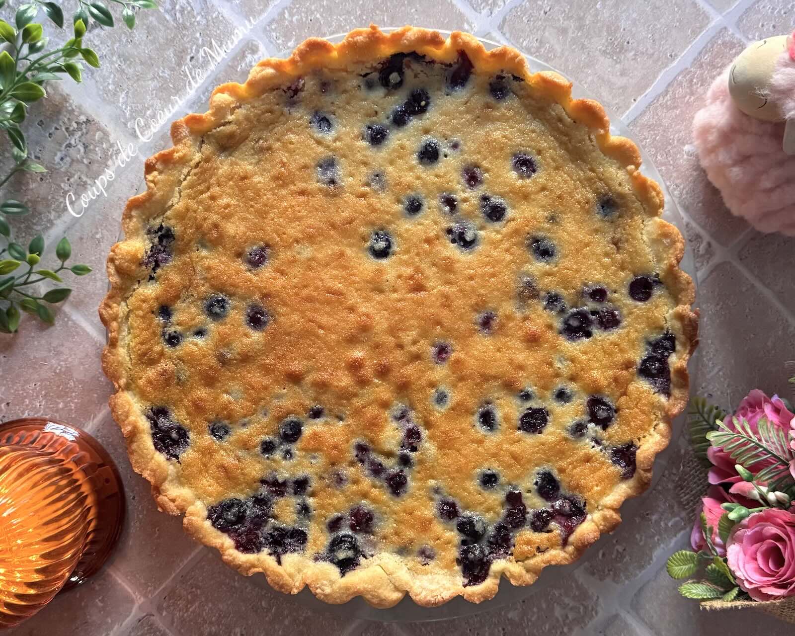 Tarte aux Myrtilles dans le Moule Tarte Cannelée OHRA Guy Demarle
