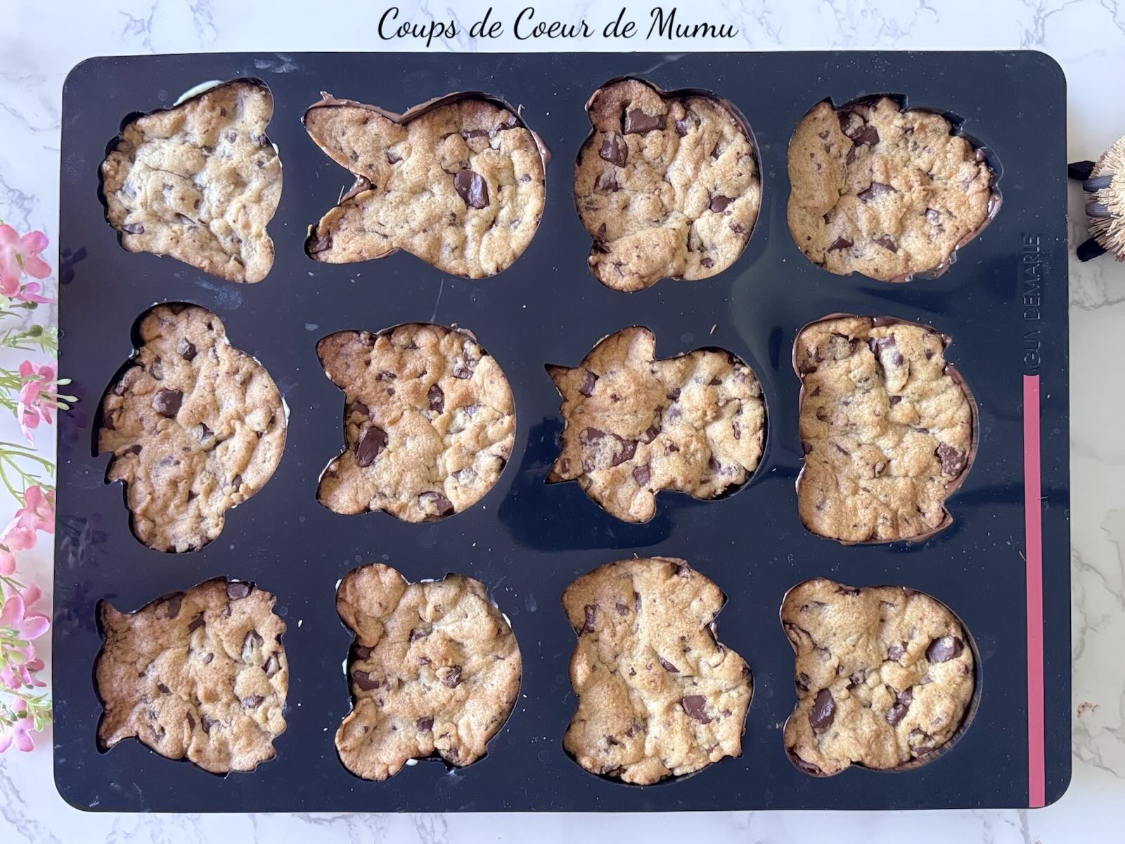 Cookies Animaux au Chocolat avec le Moule 12 Animaux Guy Demarle