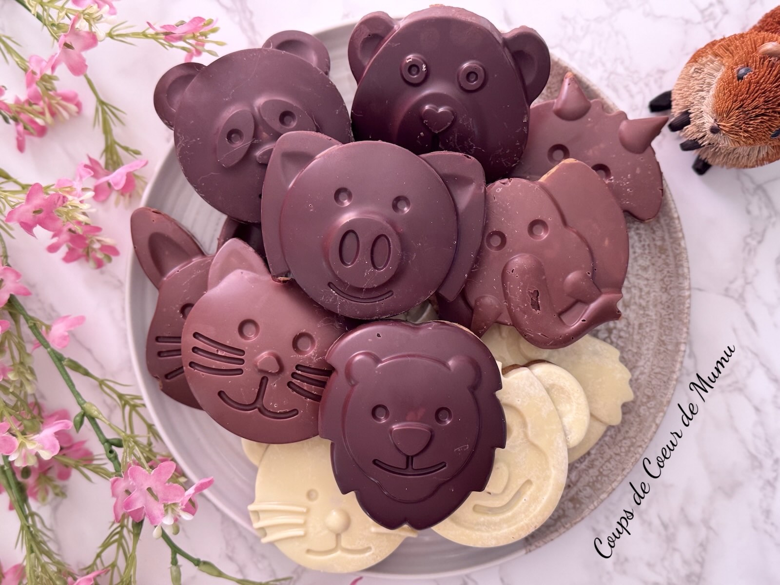 Recette Cookies Chocolat Moule 12 Animaux Guy Demarle