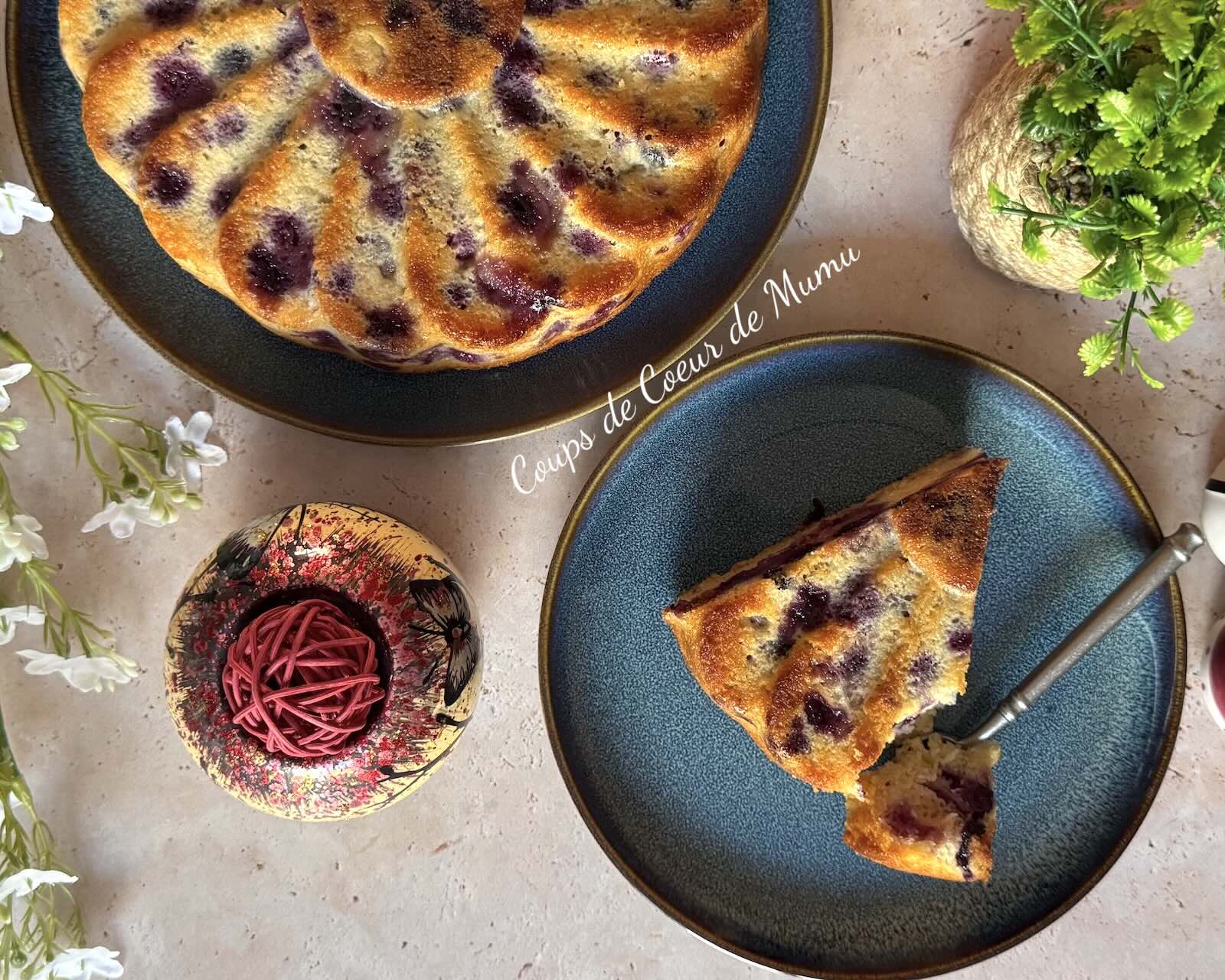 Recette Gâteau Moelleux aux Myrtilles Conseillère Guy Demarle