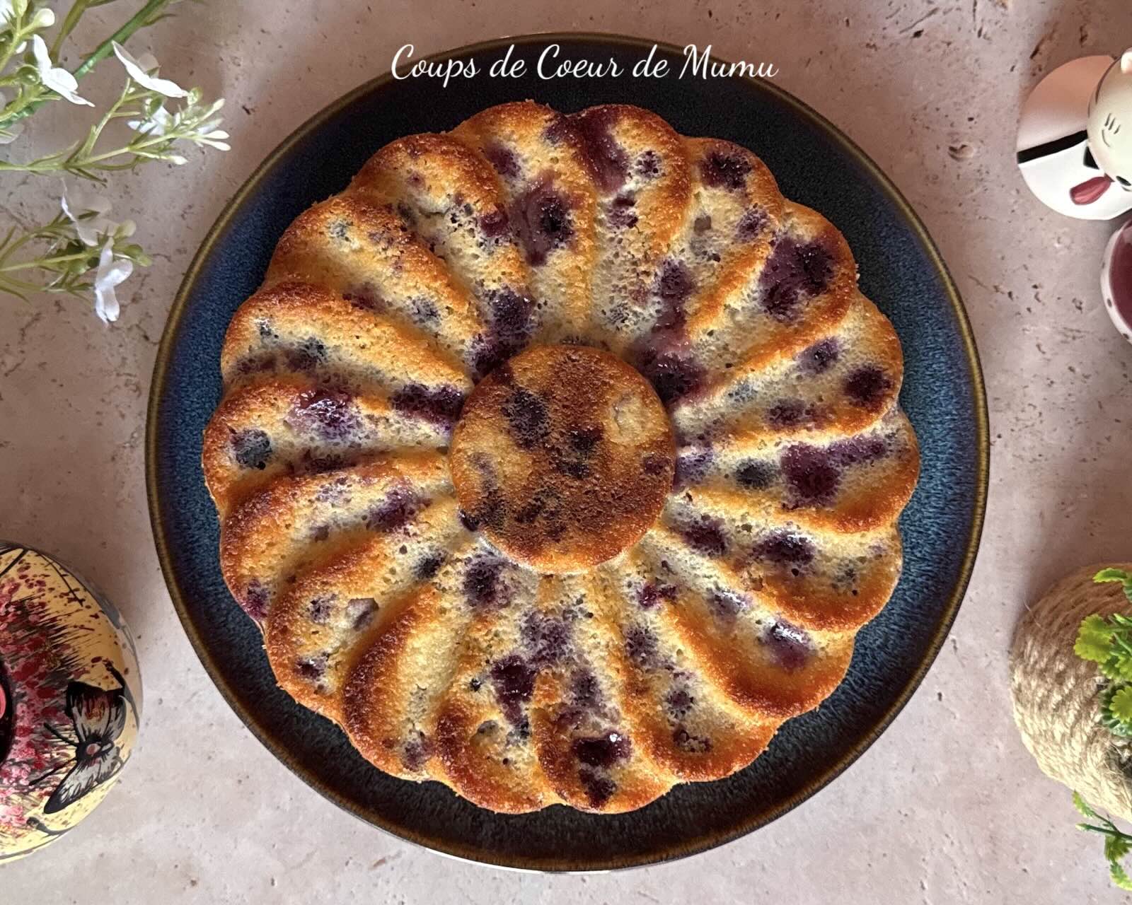 Recette Gâteau Moelleux aux Myrtilles Conseillère Guy Demarle