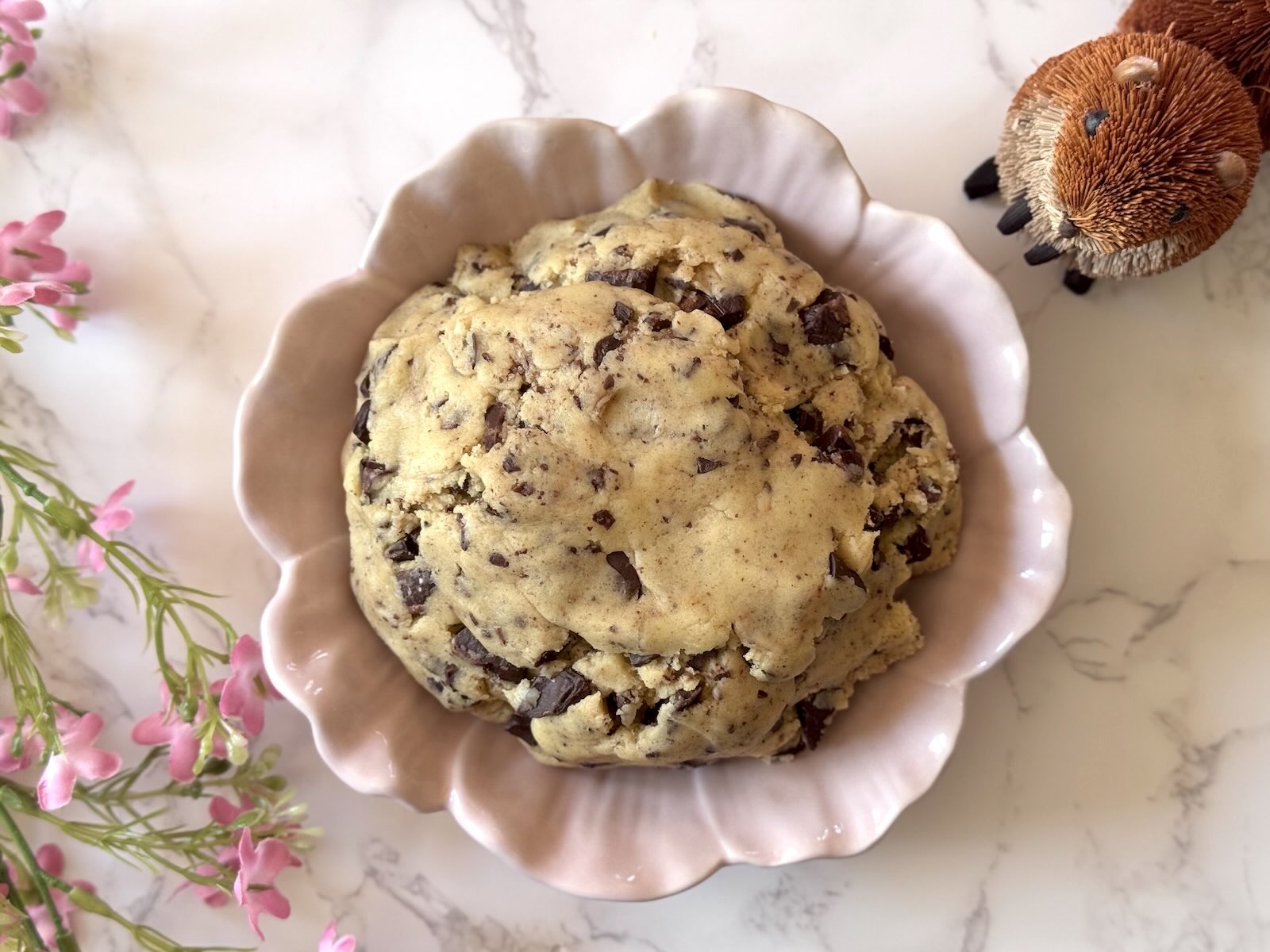 Cookies Animaux au Chocolat avec le Moule 12 Animaux Guy Demarle