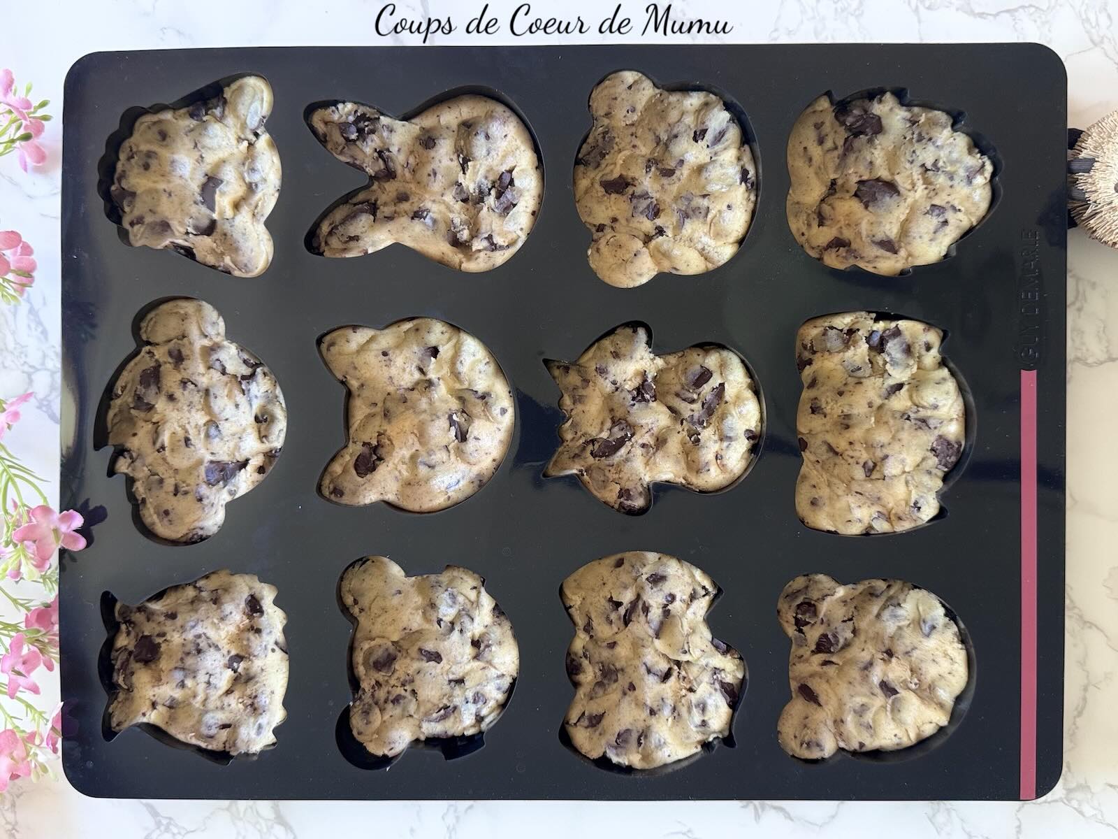 Cookies Animaux au Chocolat avec le Moule 12 Animaux Guy Demarle