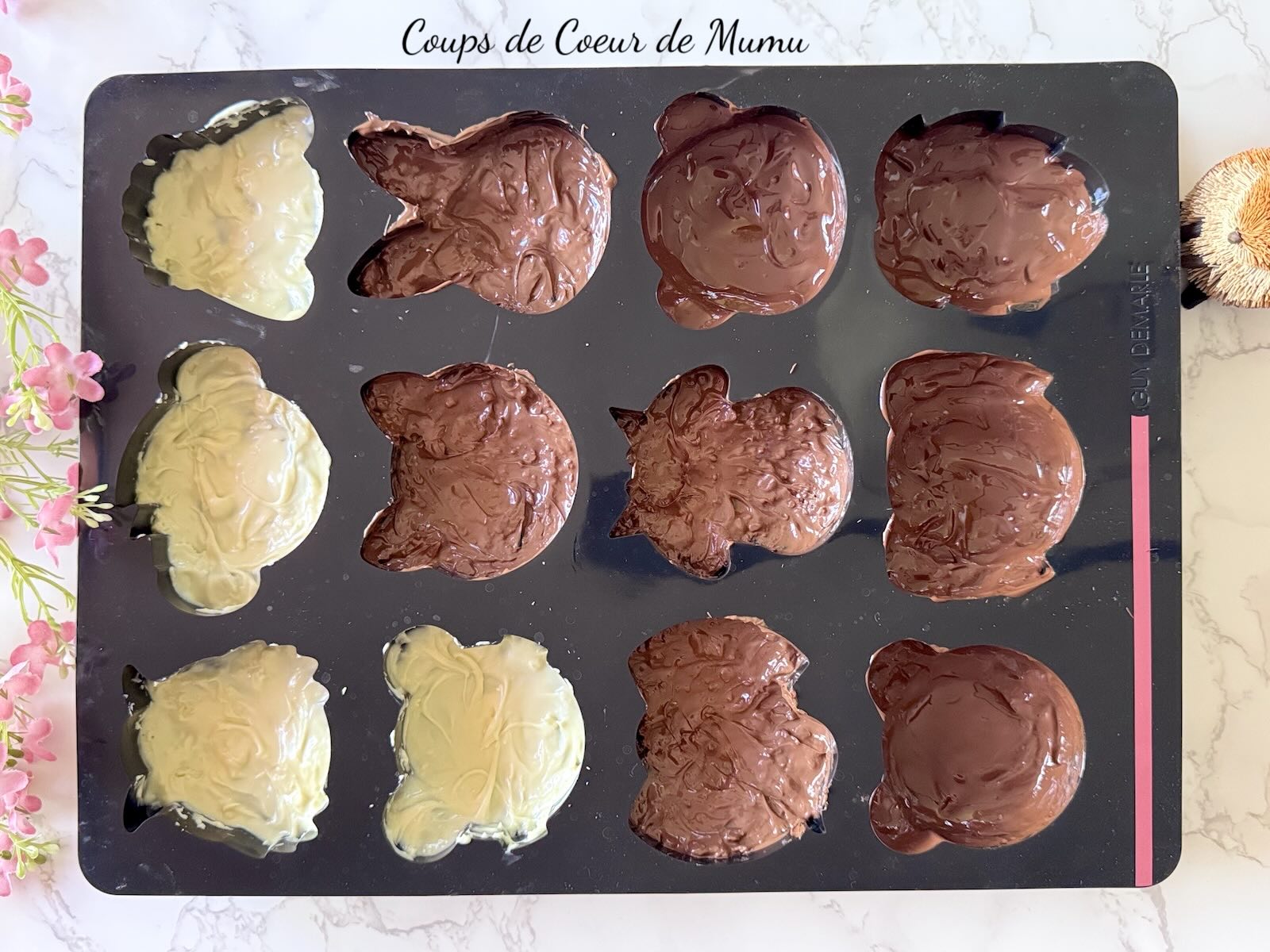 Cookies Animaux au Chocolat avec le Moule 12 Animaux Guy Demarle