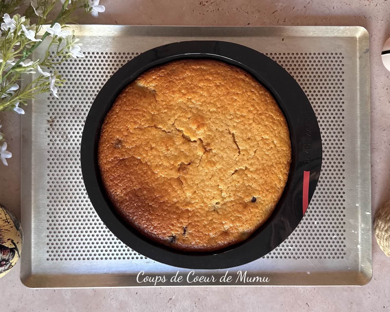Recette Gâteau Moelleux aux Myrtilles Conseillère Guy Demarle