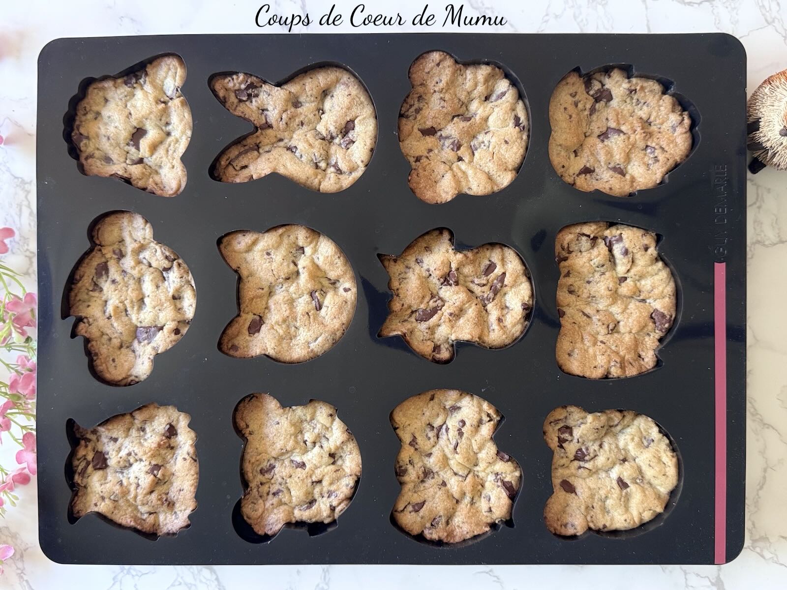 Cookies Animaux au Chocolat avec le Moule 12 Animaux Guy Demarle