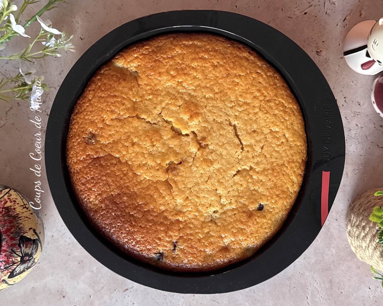 Recette Gâteau Moelleux aux Myrtilles Conseillère Guy Demarle