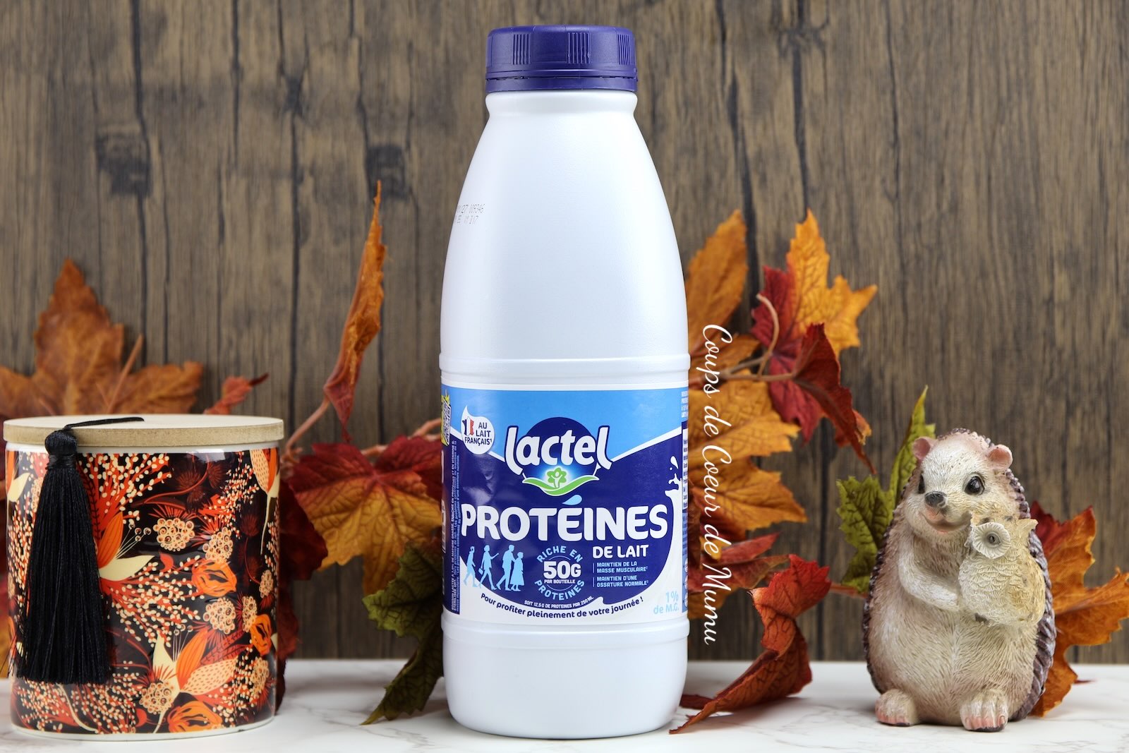 Lait Lactel Protéines