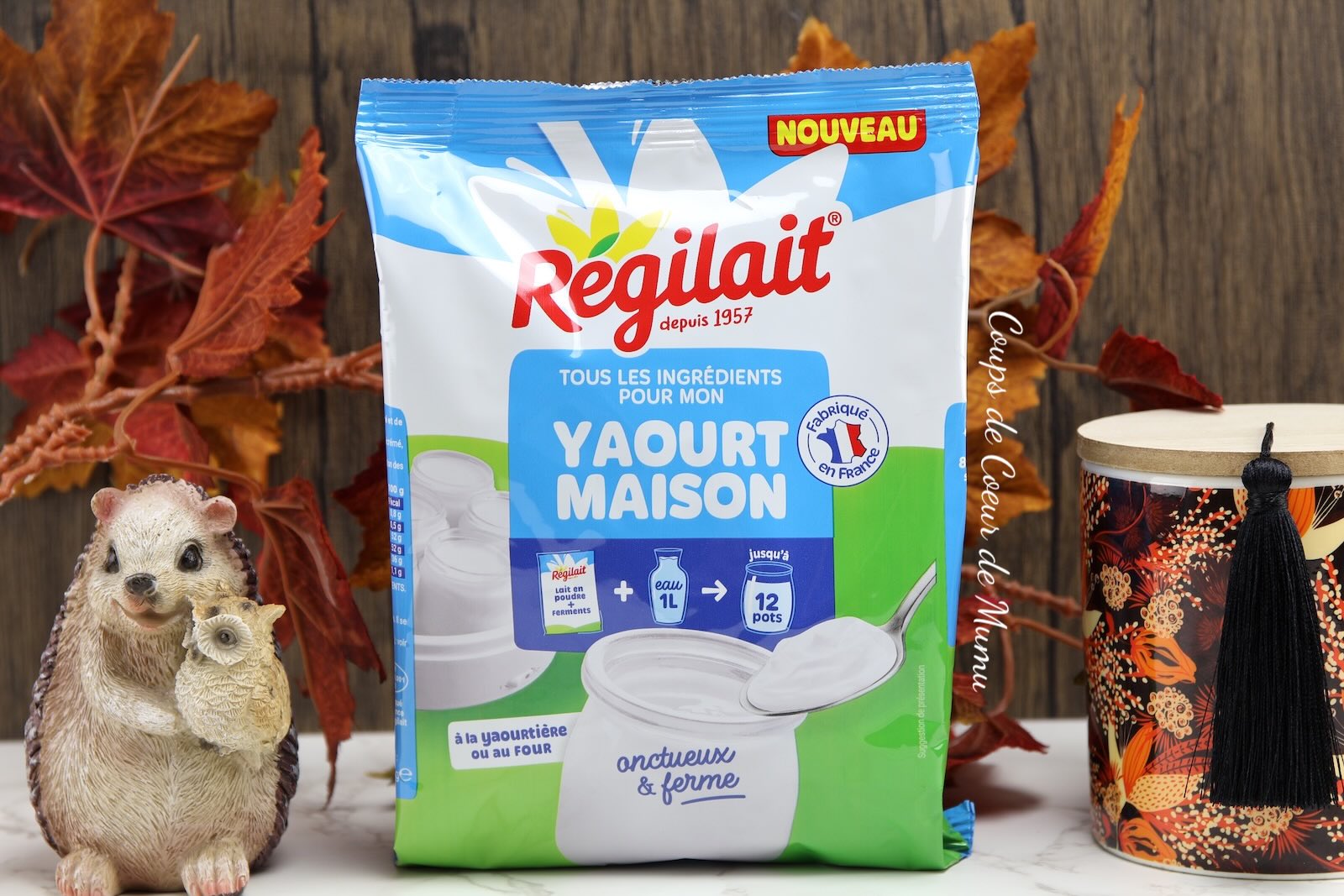 Tous les ingrédients pour Mon Yaourt Maison Régilait